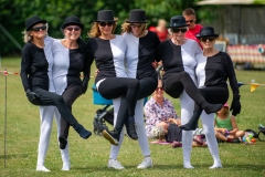 Henstridge-Fete_2025-058