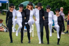 Henstridge-Fete_2025-059