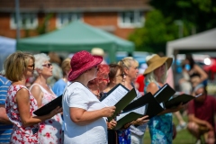 Henstridge-Fete_2025-066