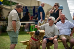 Henstridge-Fete_2025-070