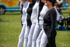 Henstridge-Fete_2025-071