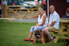 Henstridge-Fete_2025-075