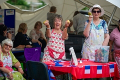 Henstridge-Fete_2025-086