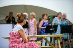 Henstridge-Fete_2025-088