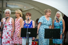 Henstridge-Fete_2025-090