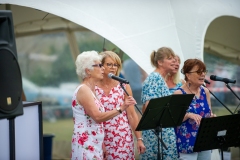 Henstridge-Fete_2025-095