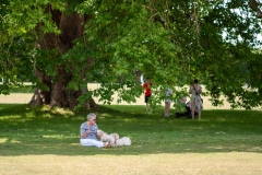 Henstridge-Fete_2025-099