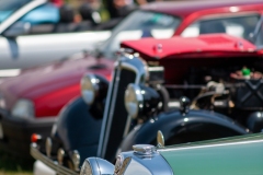 Henstridge-Fete_2025-100